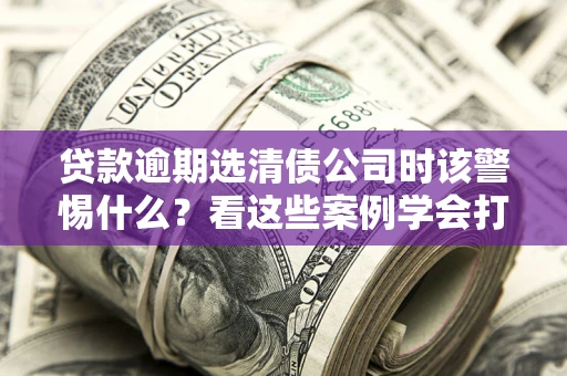 济南贷款逾期选清债公司时该警惕什么？看这些案例学会打翻身仗
