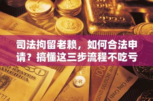 济南司法拘留老赖，如何合法申请？搞懂这三步流程不吃亏！