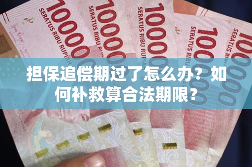 济南担保追偿期过了怎么办？如何补救算合法期限？