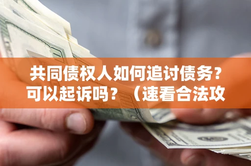 济南共同债权人如何追讨债务？可以起诉吗？（速看合法攻略）
